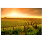 Landscape Photography Wall Art for Businesses Lightweight Landscape Photography Wall Art