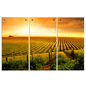 Triptych Landscape Photography for Museums Wall Mounted Triptych Landscape Photography
