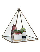 Glass pyramid display case holds items up to 12 inches