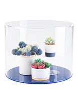 This Clear Acrylic Round Cylinder Display Case Is a Modern Way to Showcase Your Favorite Items Clear acrylic round cylinder display case with bright blue base