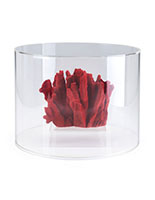This Acrylic Round Countertop Display Case Will Modernize Your Museums Exhibits Acrylic round countertop display case with overall height of 12"