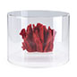 This Acrylic Round Countertop Display Case Will Provide Your Exhibit With a Clean and Modern Aesthetic Acrylic round countertop display case with grooved base to hold cover firmly in place
