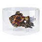 This Round Plexiglass Display Case Is Perfect for Modern Art Gallery Showcases Round plexiglass display case with groove around perimeter of base