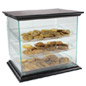 Cookie Display Case with Mahogany Base & Canopy Cookie Display Case