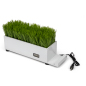Plastic Grass Decorative Charging Planter for Nightstands and Waiting Rooms desktop white plastic grass decorative charging planter