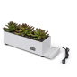 Desktop Power Charging Succulent Planter for Workspaces and Waiting Rooms home décor desktop power charging succulent planter