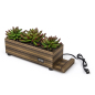Plastic Succulents Decorative Charging Planter for Conference Rooms and Lobbies desktop zebra wood plastic succulents decorative charging planter