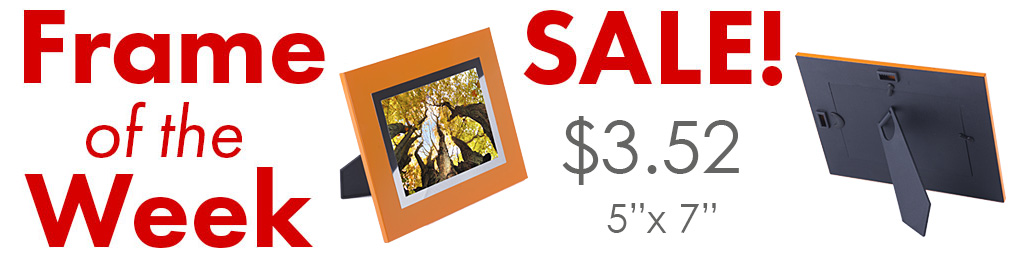 cheap orange picture frame on sale