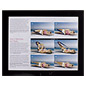 Black Art Frames Design to Accommodates 8-1/2" x 11" Artwork Black Print Display