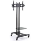 Mobile Flat Panel TV Stand for Homes Mobile Flat Panel TV Stand for Schools