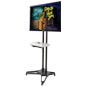 Plasma Floor Stands with (4) Swivel Casters Plasma Floor Stands