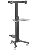 Dual Monitor Sit Stand Cart for Universities