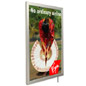 Illuminated Window Signs Include Hanging Kits for Storefront Advertisements Illuminated Window Signs
