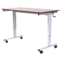 Height Adjusting Computer Stand w/ Crank for Libraries Height Adjusting Computer Stand w/ Crank for Schools