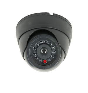 Retail Rurveillance Cameras Electronic Surveillance Cameras