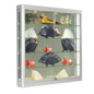 Wall Cases: 6" Deep Wall Mount Displays Wall Cases