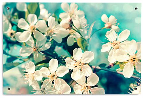 Cherry Blossoms Printing on Acrylic with High Resolution Art 36" x 24" Cherry Blossoms Printing on Acrylic
