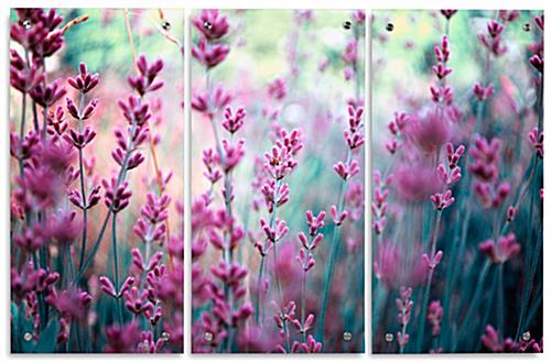 Lavender Triptych Photograph with Acrylic Panels Acrylic Lavender Triptych Photograph