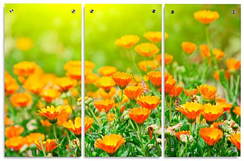 3-Piece Floral Acrylic Wall Art Panels Triptych Floral Acrylic Wall Art Panels