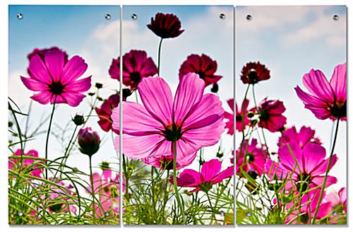 Scenic Pink Flower Triptych Wall Art Serene Pink Flower Triptych Wall Art