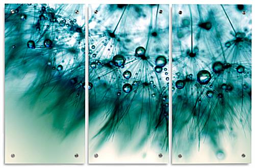 3-Piece Nature Triptych Nature Triptych with 15" x 30" Acrylic Panels