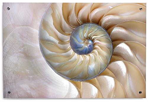 Office Wall Decoration on 36" x 24" Acrylic Panel 36" x 24" Acrylic Office Wall Decoration