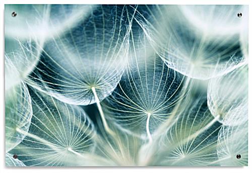 36" x 24" Commercial Wall Decor Acrylic Commercial Wall Decor