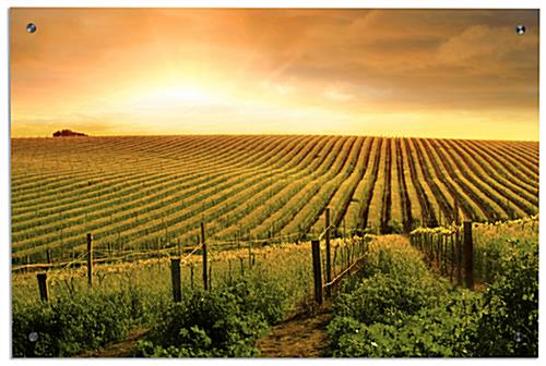 Sunset Landscape Photography Wall Art 24" x 36" Landscape Photography Wall Art