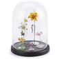 Glass domes with bases have solid pine wood