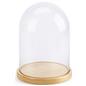 Natural Finish Pine Wood Glass Domes and Bases