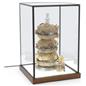 LED glass tabletop display box with antique finish edges