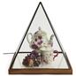 Lighted pyramid glass box with rubber wood base