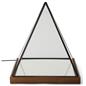 Lighted pyramid glass box with rubber wood base