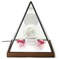 Lighted pyramid glass box with antique finish