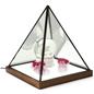 LED lighted pyramid glass box