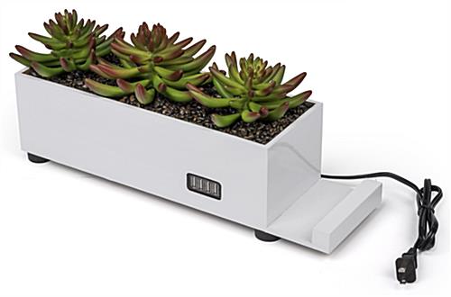 Contemporary Styled Desktop Power Charging Succulent Planter is an Attractive Piece of Office Décor dual purpose desktop power charging succulent planter