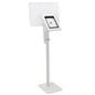 Interactive iPad station with custom graphics has a height adjustable pole