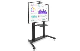 Flat Panel TV Stands