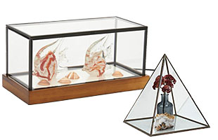 model display