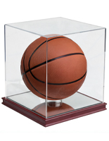 sports cases