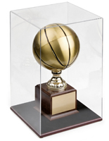 collectible display