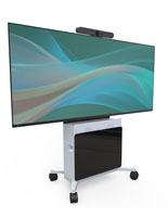 media cart