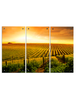 Wine Themed Triptych | 3 Panel Design