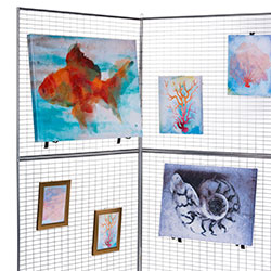 art display systems