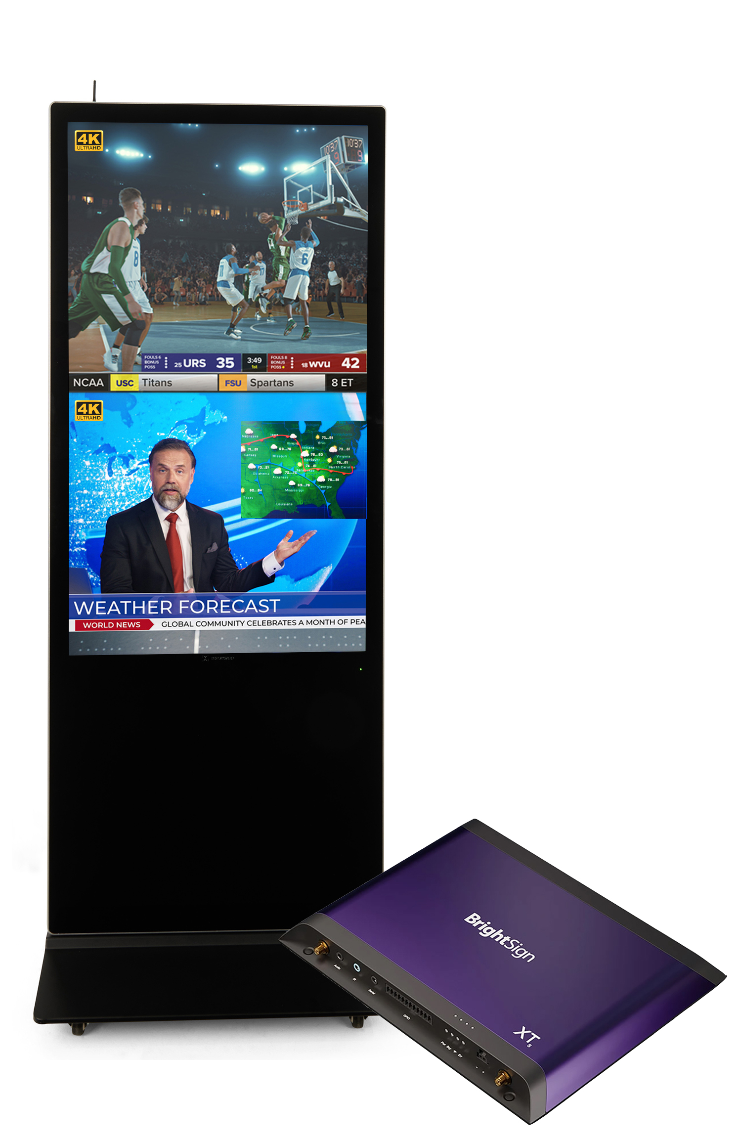 Brightsign XT1145: Live Stream Media Player | 4K Video