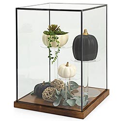 Countertop display case propped with items