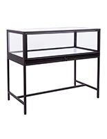 Full vision display case with LED lighting