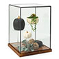 Tall wood and glass countertop display case with overall height of 16.25 inches 