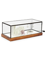 Antique finish LED glass tabletop display box