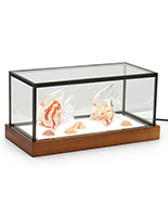 LED glass tabletop display box with rubber wood base 